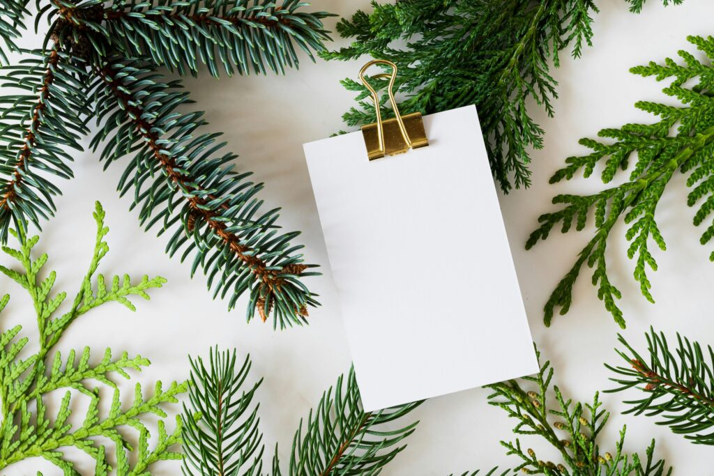 White Paper on Top of Green Spruce Needles